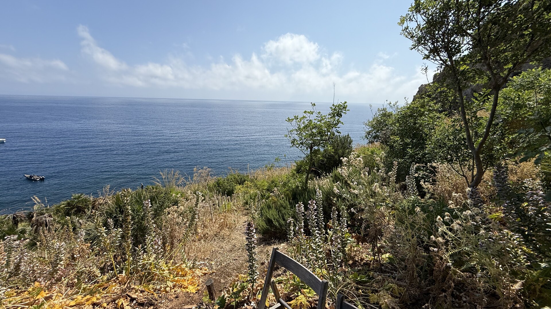 Costa mediterranea vista da un sentiero nella Riserva dello Zingaro